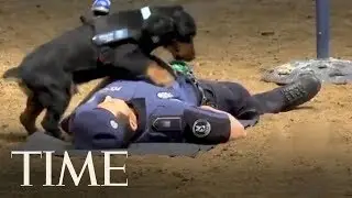 This Police Dog Has Been Trained To Perform CPR On A Police Officer | TIME