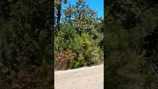 Mission Trails Regional Park 🌿⛰️ | Nature&rsquo;s Beauty in San Diego