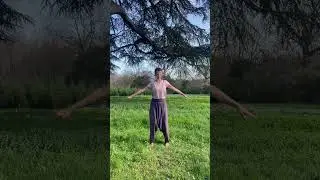 Qi Gong de l'hiver avec la tortue noire