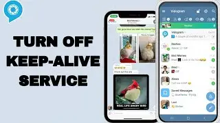 How To Turn Off Keep-Alive Service On Vidogram App | Step By Step