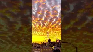 This Sunset Hit Different... Felt Like a Movie Scene 🎬🌅