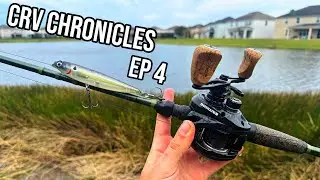 catching HUGE FLOIRDA BASS on spooks! (CRV CHRONICLES EP 4)