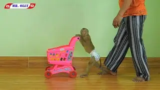 Mom Training Kako Push Stroller And Collect Balls