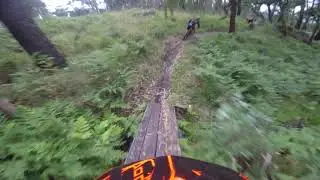 Elements trail, Santo Tirso, 2020