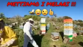 Apicoltura: nido stretto, posa dei melari