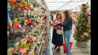 Kerst-Discounter bij Budgetplant 2025