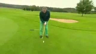 Tiger Oups 