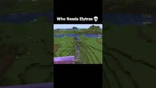 Who Needs Elytras 💀 #minecraft #gaming #memes