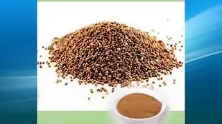 Dodder Seed Extract supplier,wholesale,factory,bulk