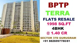 Ready To Move Project 4 BHK 1998  Sq.ft Bptp Terra  Sector 37D Gurgaon Haryana