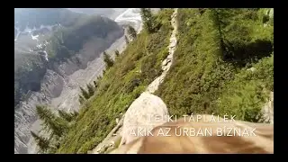 Akik az Úrban bíznak