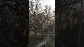 TAGORE HILL (RANCHI) #editing #vlog #shortvideos #ranchivlogger #tagorehill #youtubeshorts