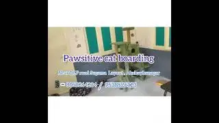 ##Paw 🐾 Sitive Cat boarding,Bangalore ##Long video