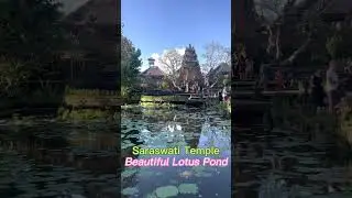 BALI Temples in UBUD!!🌴