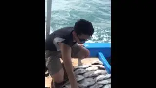 Hasil Mancing di Karang Panjang Pulau Seribu