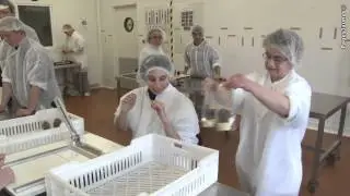 ESAT Saint-Pée à Oloron-Sainte-Marie, ADAPEI au service des entreprises