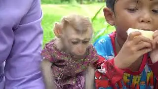 Orange eating Lover of Leo and Loe monkeys -  Outdoor activities