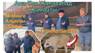 Ала-Тоо Жалалабад Жамааты Озгочо кочкор 50-минге Алынган солук@BARPYKG 