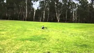 Walkera V500D01 First Flight