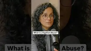 What is Litigation Abuse?