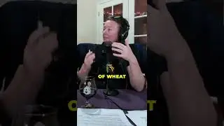 Beer History Amidst the Dust Bowl: The Tale of Wheat Overproduction