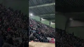 PSG Ultras Nov.22 2024 VS Toulouse #psg #football #shorts #sports #france #paris