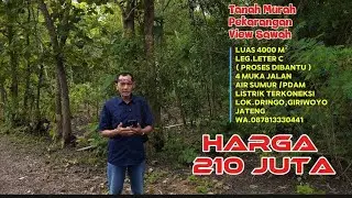 DIJUAL TANAH PEKARANGAN VIEW SAWAH,AKSES 4 MUKA JLN.LUAS 4000M² H. 210 JT. Giriwoyo,Wonogiri Jateng