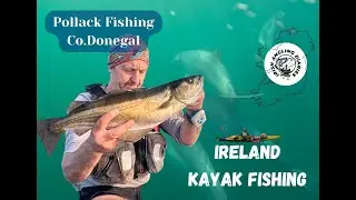 Donegal Pollack | Kayak Fishing | Dolphins | Irish Angling Diaries #12