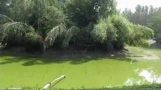 Киевский зоопарк