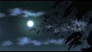 aftertheparty - woods 