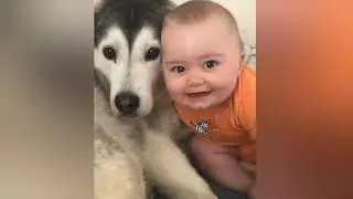 Heartwarming Moments Pawsitive Vibes with Furry Family Members