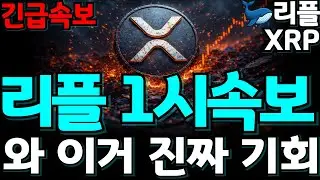 [고래사냥 리플]“기관 이탈 + 전쟁 위기 + 기술적 붕괴… 근데 왜 기회일까?