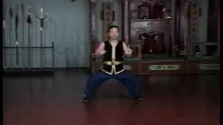 Hung Gar Kuen Kung Gee Fook Fu Укрощение тигра. Образец #41 WLE.com