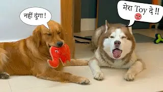 kisi Din Ghost bohot pelega Max ko 🤣🤣 Funny Alert  😂@THEHIMALAYANHUSKY