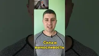 Сила и выносливость