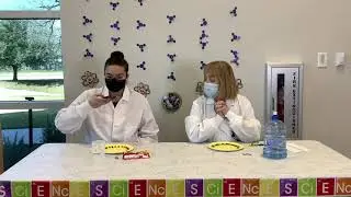 Mad Science Mondays - Candy Rainbow