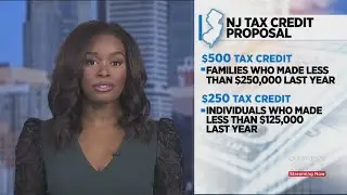 NJ State Senator Introducing Bill That Would Give Families A $500 Tax Credit