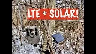 Unboxing TACTACAM REVEAL X GEN 2.0: Solar Powered LTE Trail Camera Install