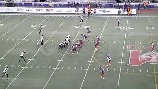 Hamilton Tiger-Cats QB Matthew Shiltz throws 49-yard pass to Terry Godwin II vs. Montreal Alouettes