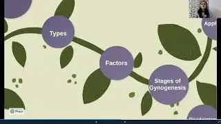 Gynogenesis- Haploid Culture Part 1