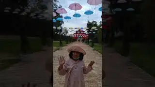 picnic umbrella#shorts