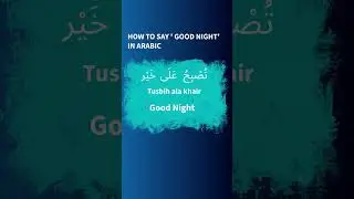 'Good Night' in Arabic #good night Arabic #shorts
