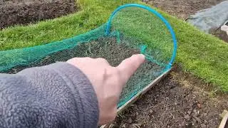 Our  journey on an English council allotment based in West Yorkshire.