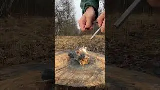 🔥 Fire in 10 Seconds: Ferro Rod + Steel Wool + Birch Bark = Instant Flame!