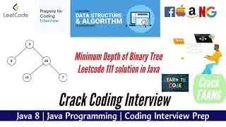 Minimum Depth of Binary Tree | Leetcode 111 |  Java Solution