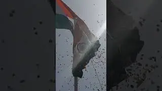 TELANGANA FORMATION DAY CELEBRATIONS IN PEDDAPALLI