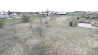 pond fly by
