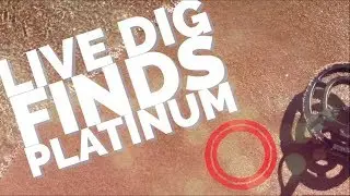 Metal Detecting Live Beach Dig Finds Platinum in 4K!