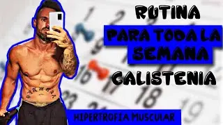 Rutina semanal Calistenia | planificacion semanal calistenia (hipertrofia muscular)