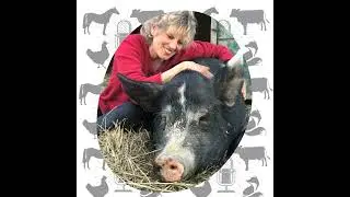 Kathy Stevens: The True Lives of Turkeys and Leading with Love